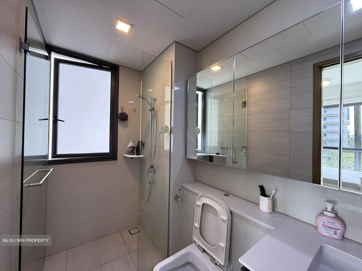 Lakeville (D22), Condominium #502728501